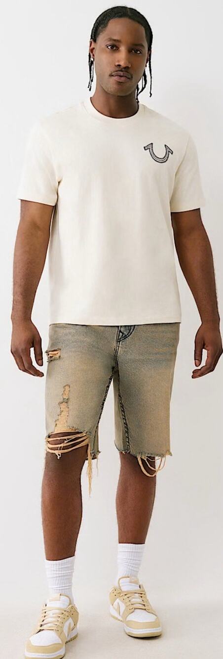 TRUE RELIGION BOBBY BIG T DISTRESSED SHORTS MENS SZ 33 $174